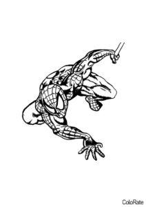 Распечатать раскраску Спайдермен готов атаковать - Человек-паук