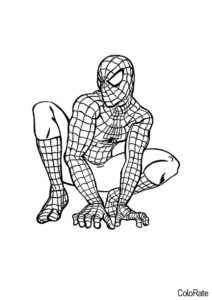 Разукрашка Спайдермен на корточках распечатать на А4 - Человек-паук