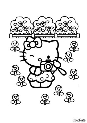 Маленький фотограф распечатать раскраску - Hello Kitty