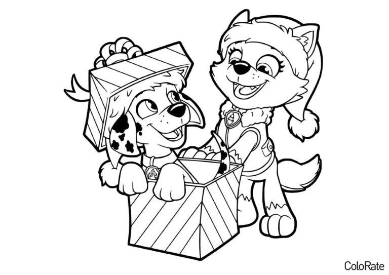 Раскраска Маршал - подарочек распечатать - Щенячий патруль