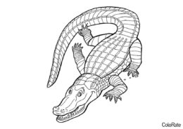 Аллигатор на охоте распечатать раскраску - Крокодилы и аллигаторы