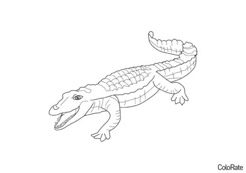Бесплатная раскраска Аллигатор распечатать на А4 и скачать - Крокодилы и аллигаторы