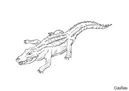 Бесплатная раскраска Американский аллигатор - Крокодилы и аллигаторы