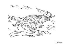 Крокодил подкрадывается к жертве - Крокодилы и аллигаторы раскраска распечатать на А4