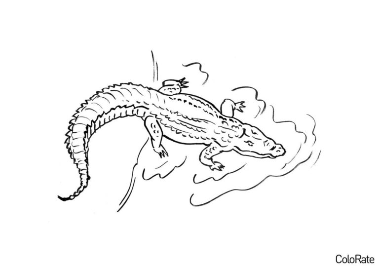 Раскраска Крокодил распечатать - Крокодилы и аллигаторы