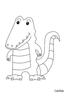 Улыбающийся маленький аллигатор (Крокодилы и аллигаторы) бесплатная раскраска
