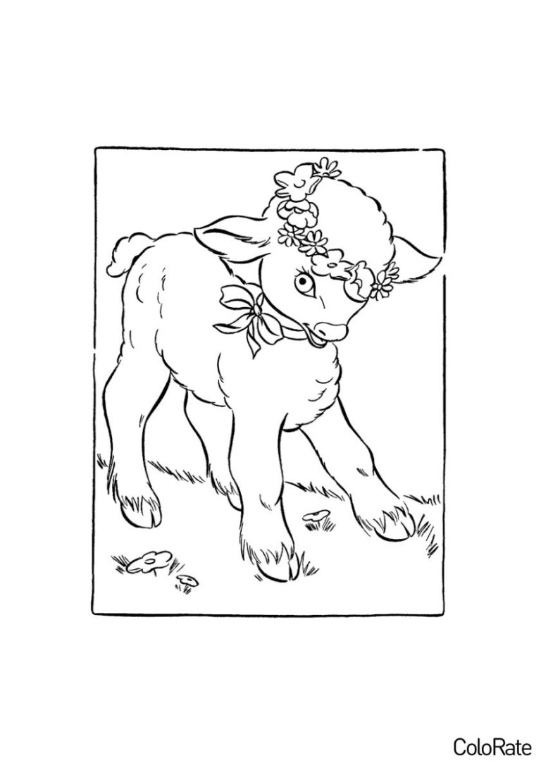 Раскраска Барашек злится распечатать - Овечки и барашки