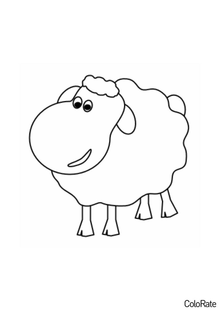 Раскраска Барашек распечатать - Овечки и барашки