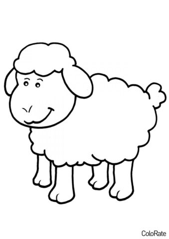 Забавная овечка (Овечки и барашки) распечатать разукрашку