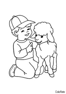 Мальчик и овечка распечатать и скачать раскраску - Овечки и барашки