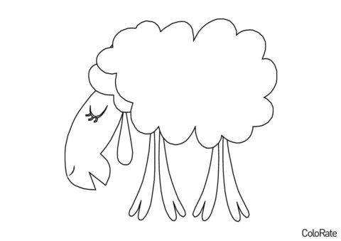 Смешная овечка (Овечки и барашки) разукрашка для печати на А4