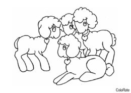 Стадо овечек - Овечки и барашки распечатать раскраску на А4