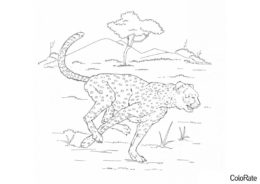 Леопарды бесплатная разукрашка - Быстрый хищник