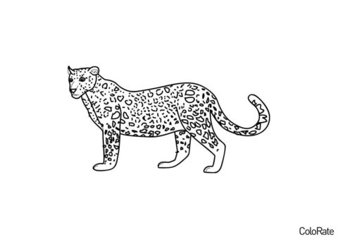 Распечатать раскраску Красивый леопард - Леопарды