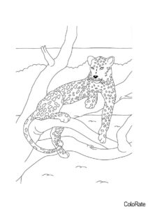 Леопарды бесплатная раскраска - Леопард на дереве