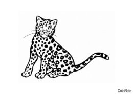 Леопард раскраска распечатать на А4 - Леопарды