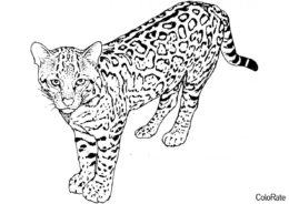 Бесплатная раскраска Прекрасный дикий зверь - Леопарды