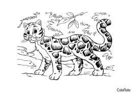 Раскраска Симпатичный леопард распечатать на А4 и скачать - Леопарды