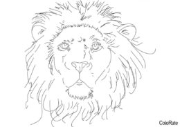 Раскраска Реалистичная голова льва распечатать на А4 и скачать - Львы