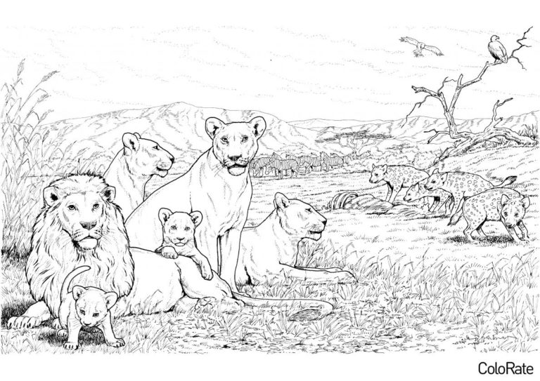 Раскраска Семья львов распечатать - Львы