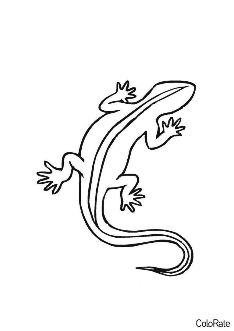 Раскраска Ящерка распечатать - Ящерицы