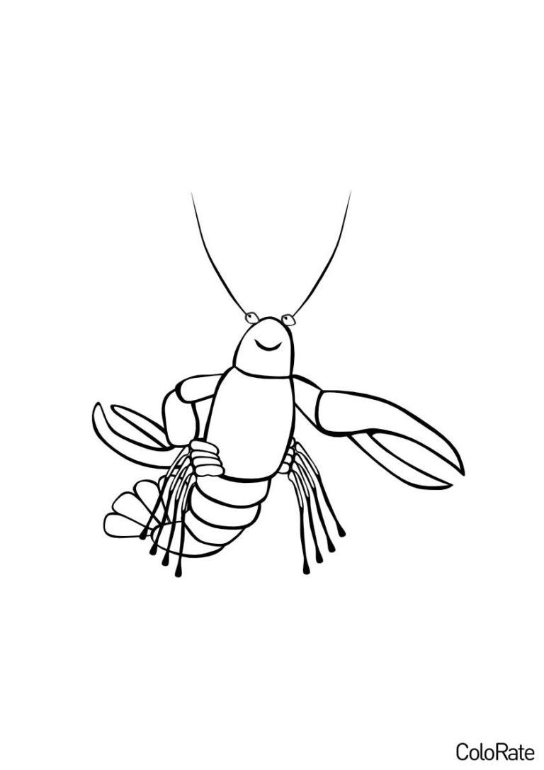 Раки и Крабы - бесплатные раскраски распечатать | ColoRate