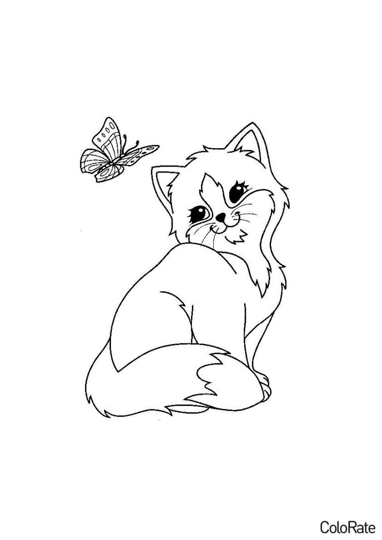 Раскраска Милашка с бабочкой распечатать - Рыси