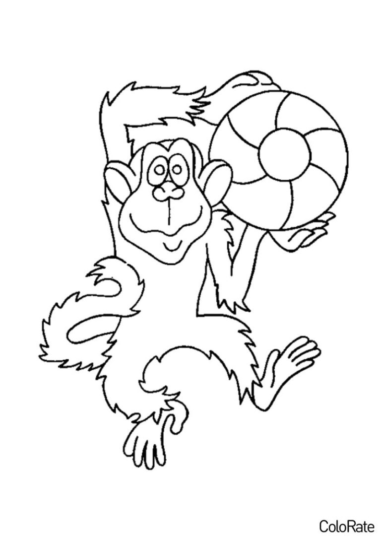 Раскраска Веселая игра распечатать - Обезьяны