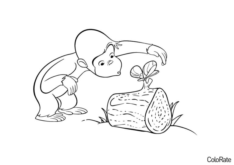 Раскраска Любопытство распечатать - Обезьяны