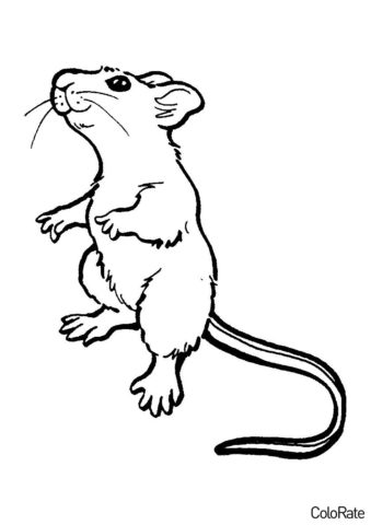 Мыши бесплатная раскраска - Веселый мышонок