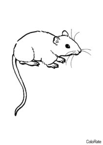 Мыши распечатать раскраску на А4 - Маленькая мышка