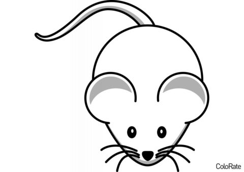 Мыши бесплатная раскраска - Милая мышка