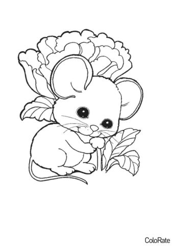 Раскраска Мышонок в саду - Мыши