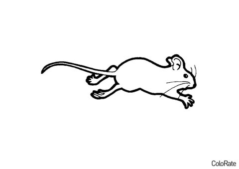 Раскраска Мышь в прыжке - Мыши