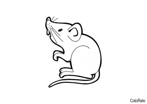Удивленный мышонок раскраска распечатать на А4 - Мыши