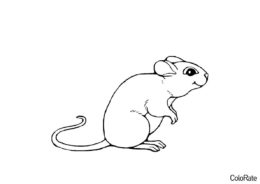 Распечатать раскраску Улыбчивый мышонок - Мыши