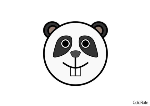 Бесплатная раскраска Голова панды распечатать на А4 - Панды