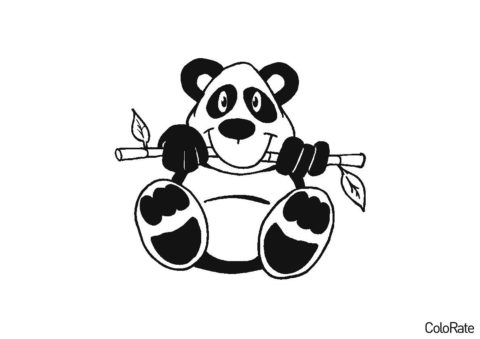 Панда жуёт бамбук распечатать раскраску - Панды