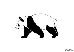 Панды бесплатная раскраска распечатать на А4 - Реалистичная панда