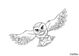 Распечатать раскраску Почтовая сова с письмом - Совы