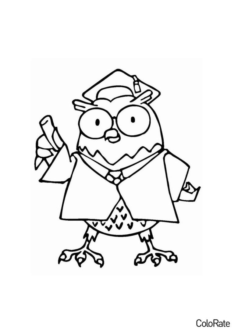 Раскраски Совы и Филины для детей распечатать | ColoRate