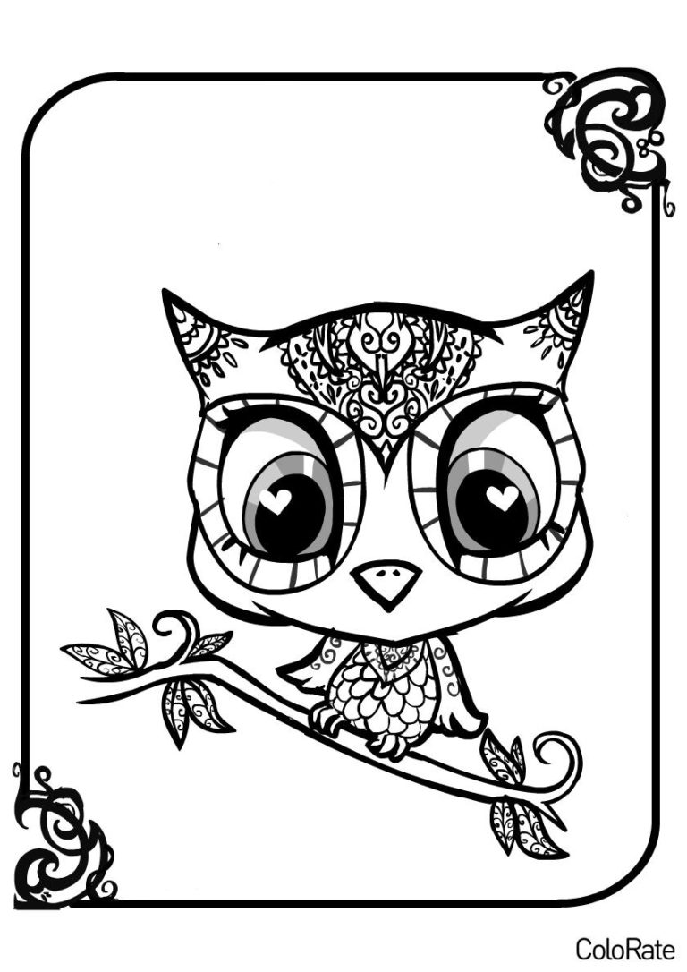 Раскраски Совы и Филины для детей распечатать | ColoRate