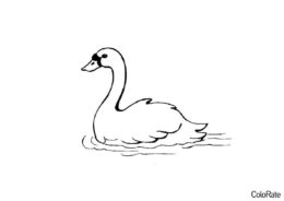 Лебеди распечатать раскраску - Лебедушка на озере