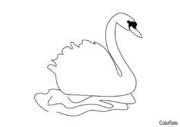Раскраска Прекрасный лебедь распечатать на А4 - Лебеди