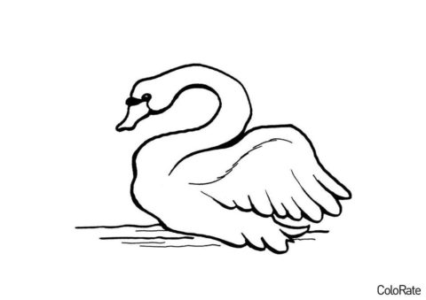 Удивительная птица (Лебеди) распечатать разукрашку