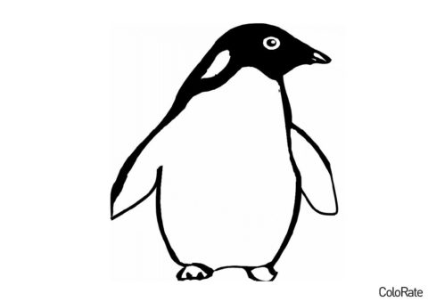 Желтоглазый пингвин (Пингвины) бесплатная раскраска