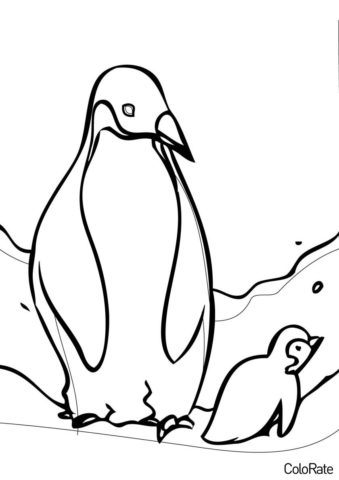 Императорские пингвины (Пингвины) распечатать бесплатную раскраску