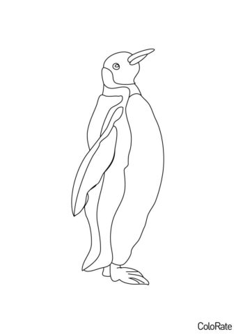 Императорский пингвин (Пингвины) разукрашка для печати на А4