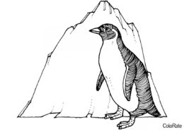 Раскраска Королевский пингвин - Пингвины