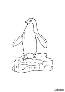 Бесплатная раскраска Папа-пингвин на льдине - Пингвины